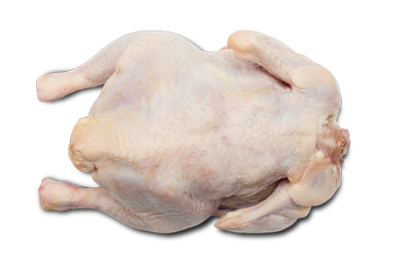 Piletina