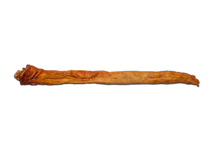 Svinjska crevca Svinjska crevca