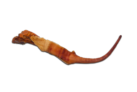 Svinjski rep Svinjski rep