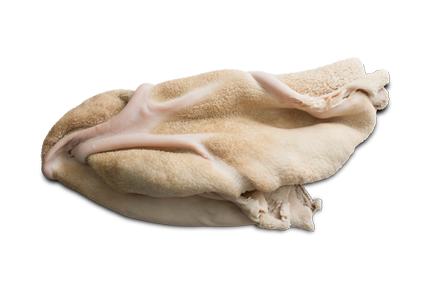 Škembići Škembići