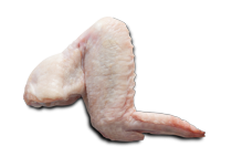 Krilca Krilca
