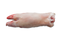 Nogice Nogice
